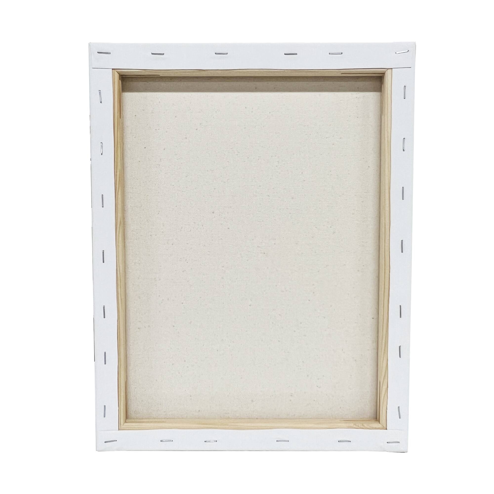 2 Pack Value Canvas by Artist's Loft